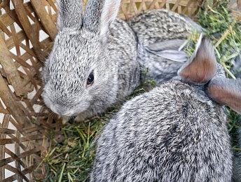 《使命召唤》旧作价格居高不下 玩家怒批动视太贪婪